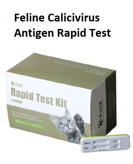 Feline Calicivirus Antigen Rapid Test FCV Ag